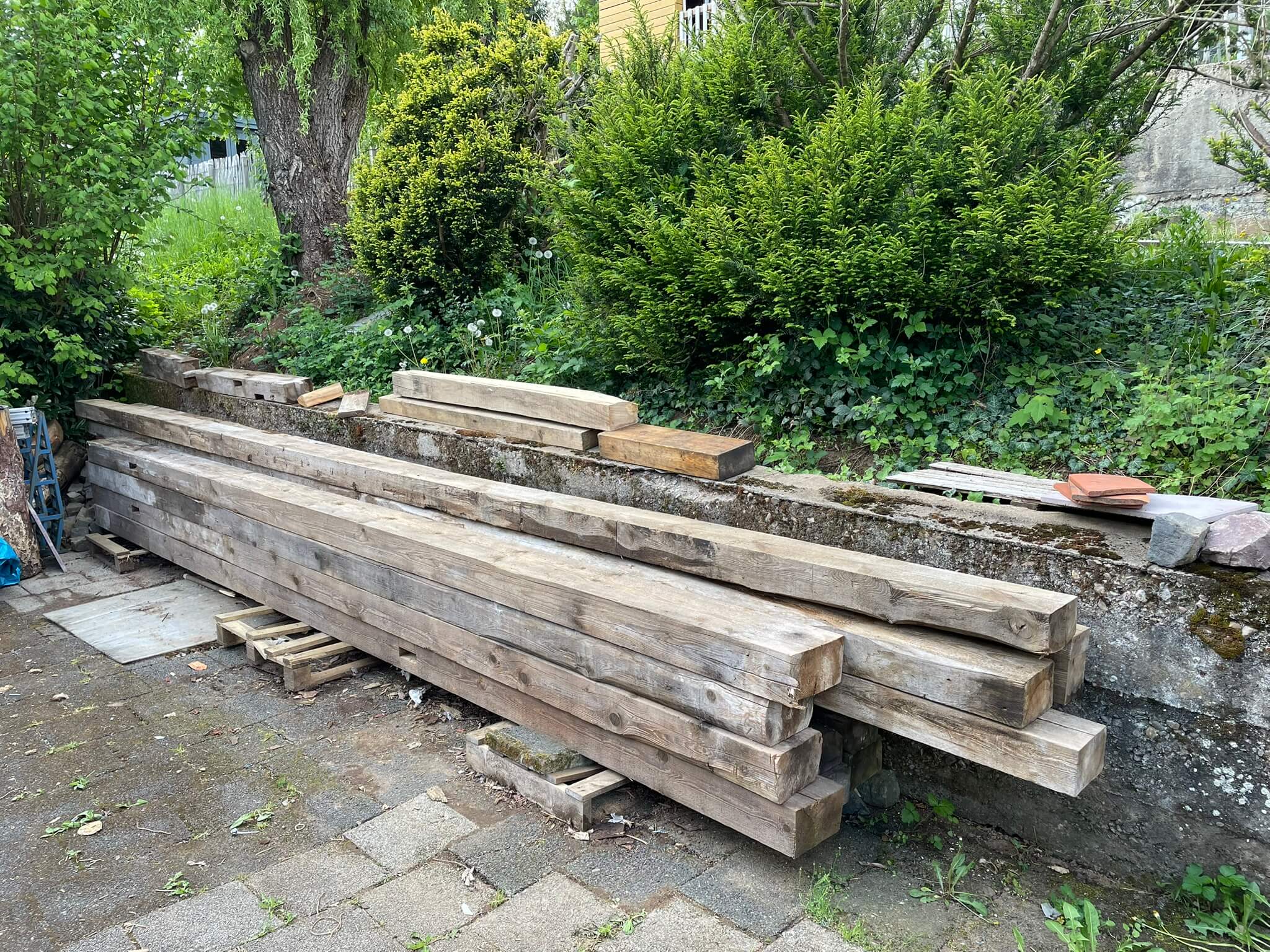 Holz