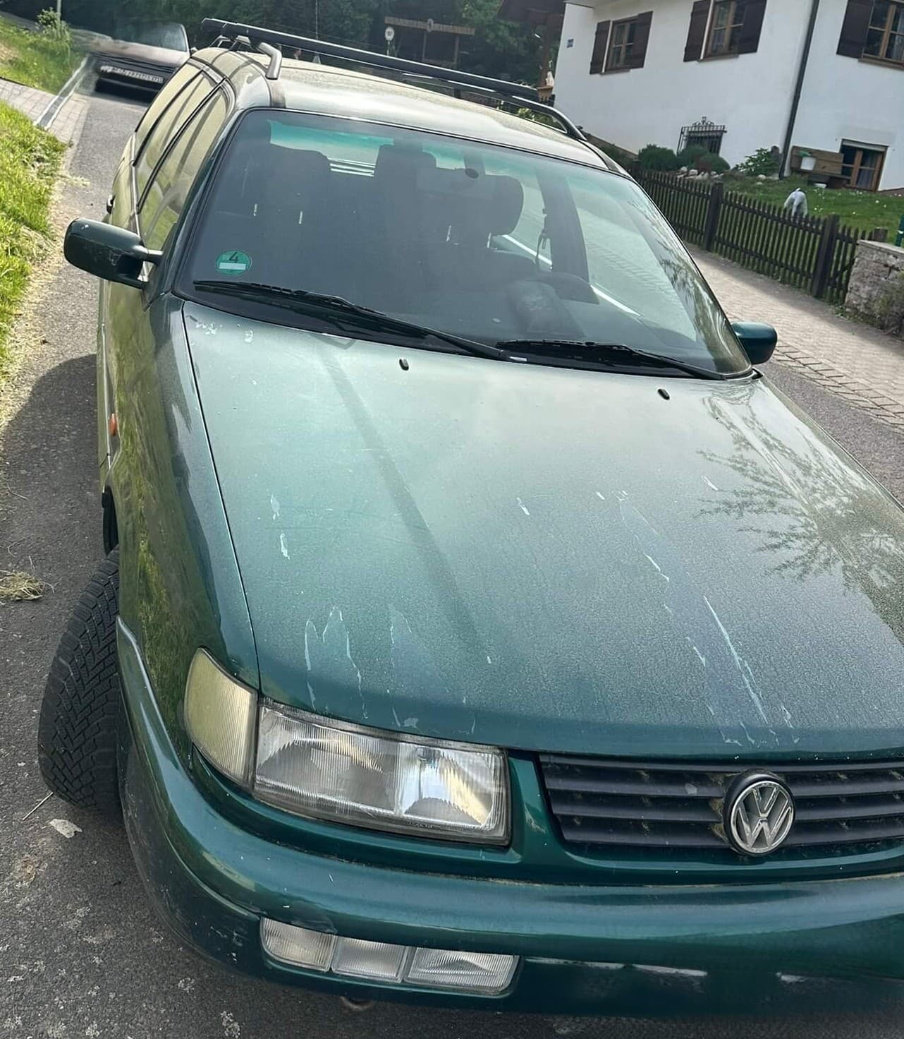Passat grün