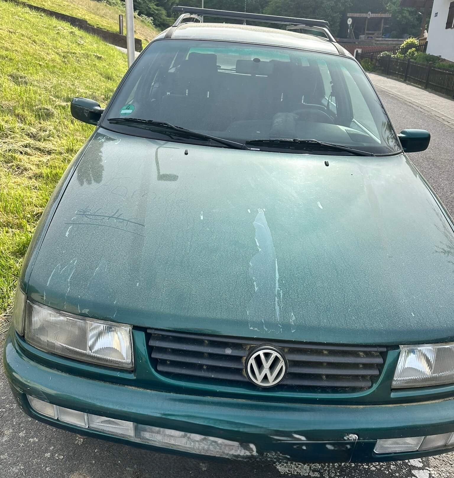 Passat grün