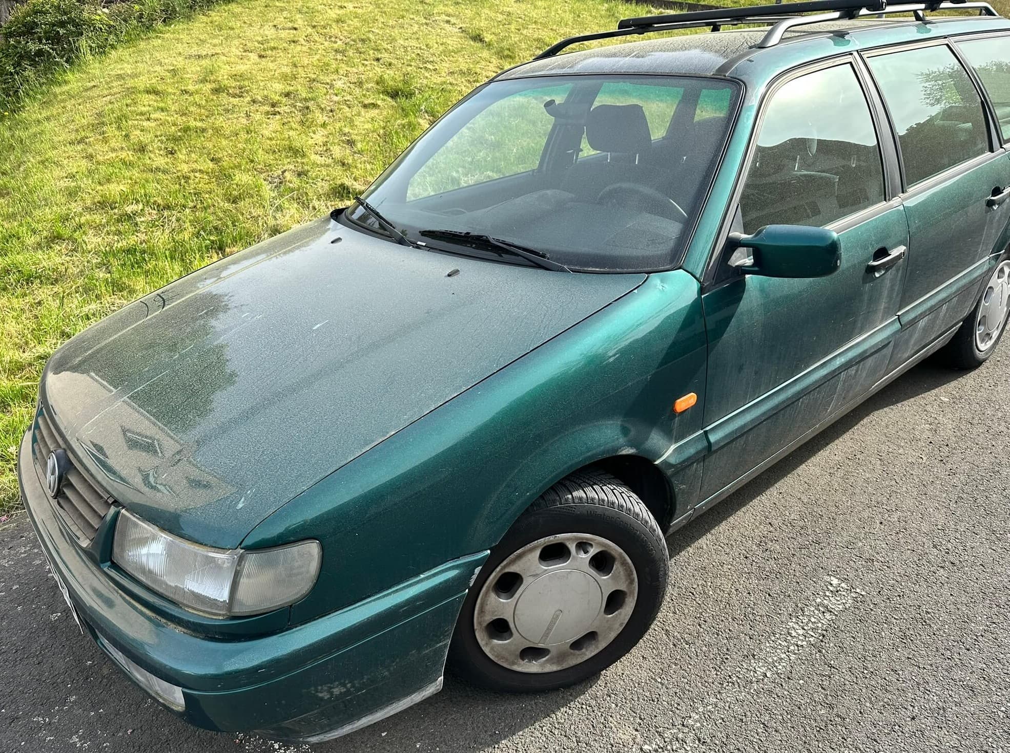 Passat grün