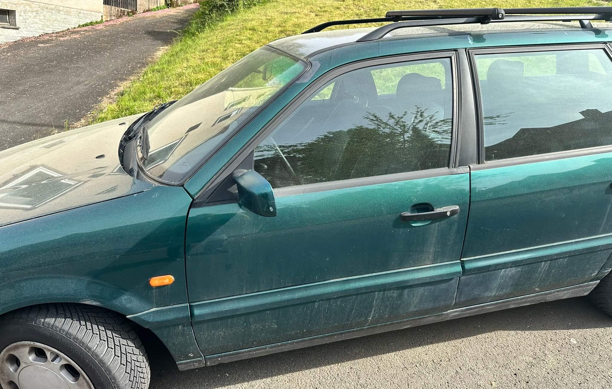 Passat grün