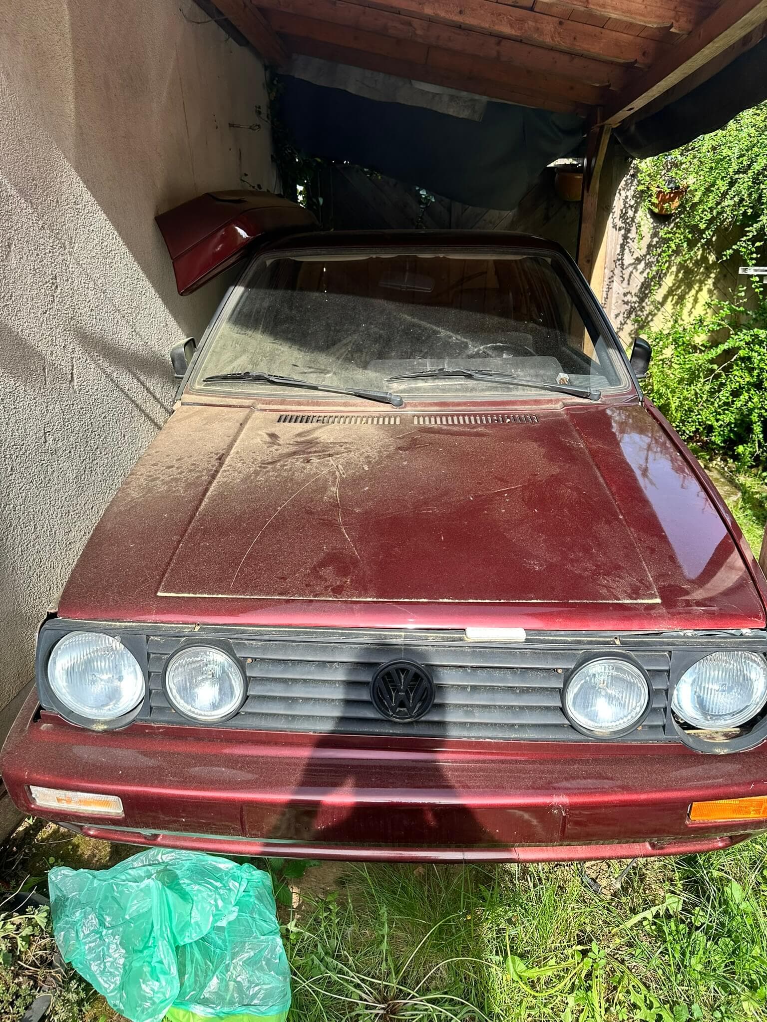 Golf rot