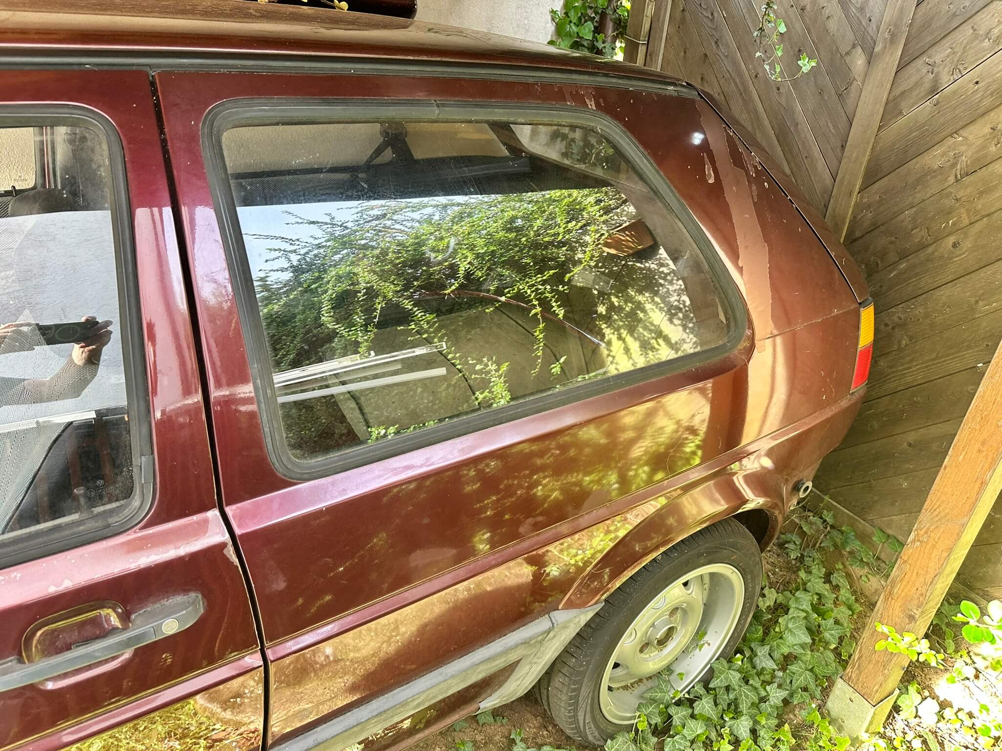 Golf rot